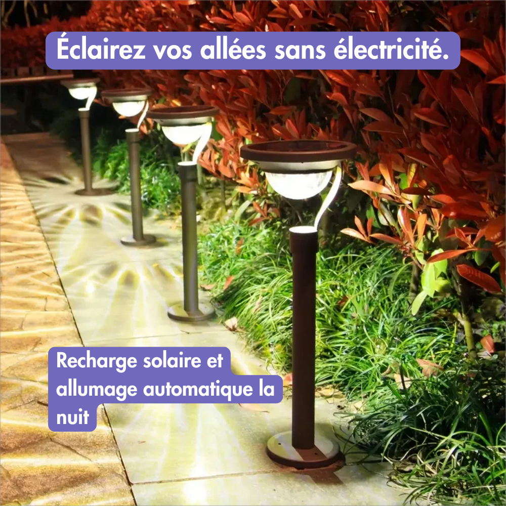 Lampe de Chemin Solaire – Éclairez vos extérieurs avec élégance