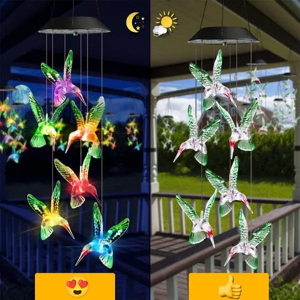 Oiseaux Lumineux Solaires