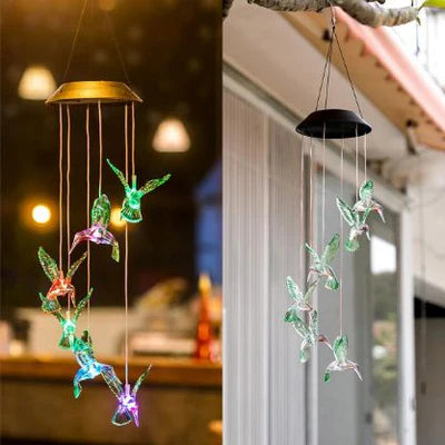 Oiseaux Lumineux Solaires