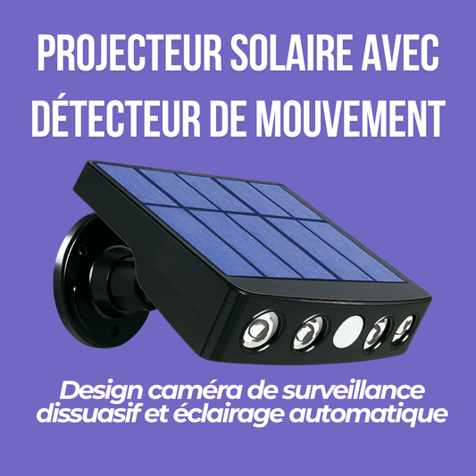 Projecteur solaire avec détecteur de mouvement