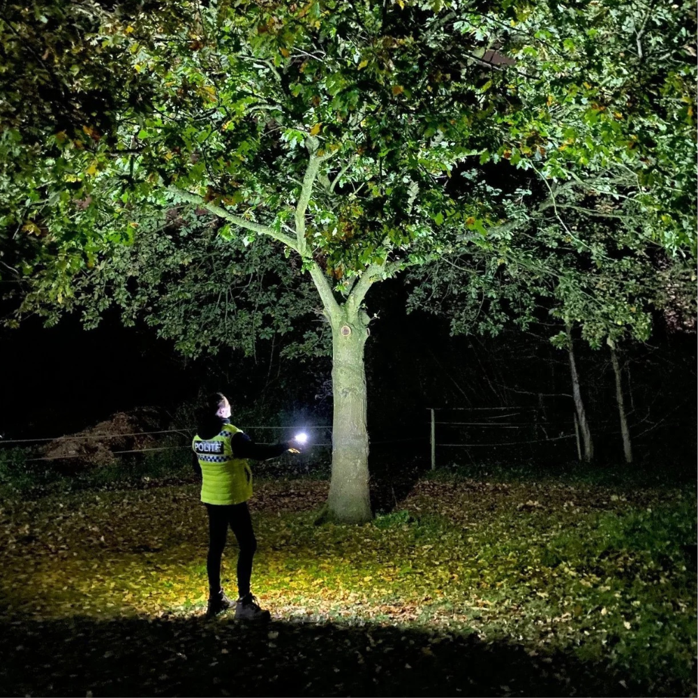 Lampe Solaire LED à Détecteur de Mouvement avec Fixation à Clip