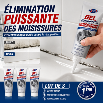 Gel Éliminateur de Moisissure 2-en-1